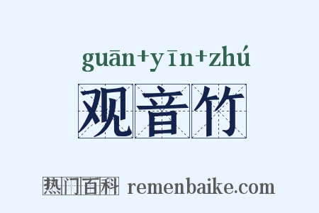 观音竹是什么意思的图片